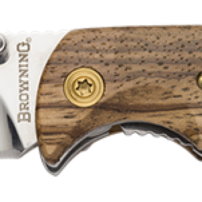 Browning -- buckmark Hunter