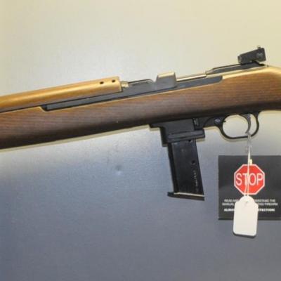 Chiappa M1