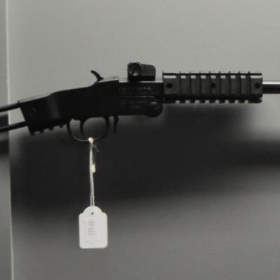 Chiappa Little badger