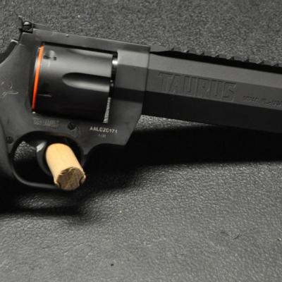 Taurus Raging Hunter 8