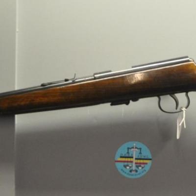 Anschutz  -- 22Lr
