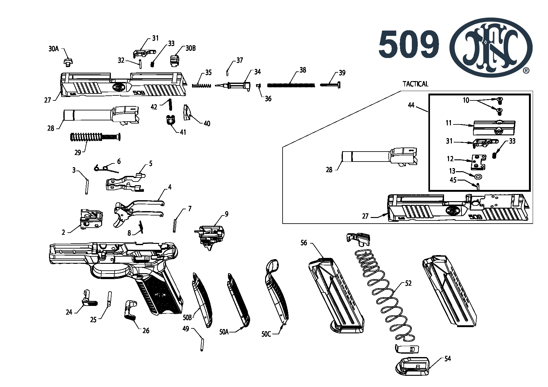 Fn509